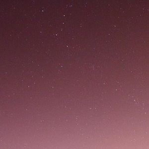 Meet your Posher, Lucy